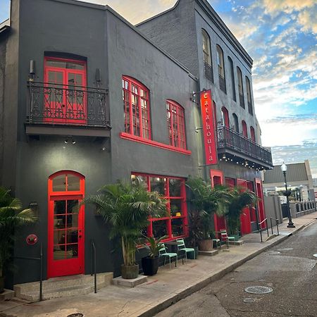 新奥尔良卡塔胡拉赛琳娜酒店 外观 照片